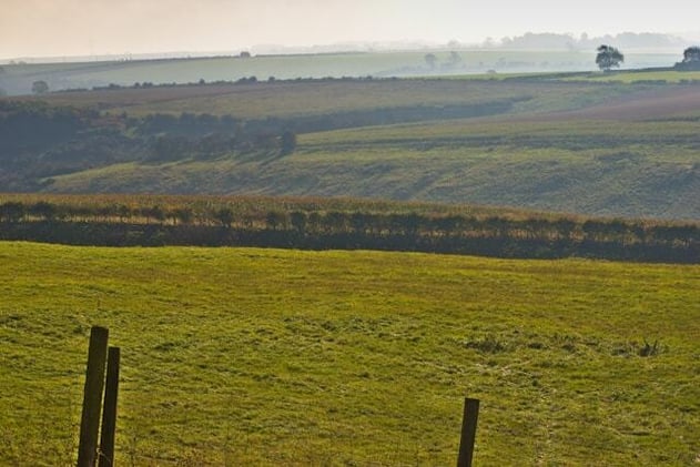 What's on in Yorkshire this week...