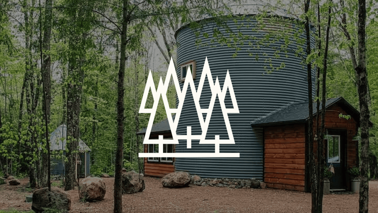 ๐๏ธ Lost In The Woods: Forest Airbnb Investment Gems โ #886