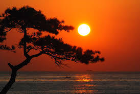 한 해를 보내며