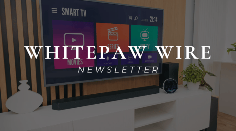 Rethinking Video Strategy in a Market Under Pressure