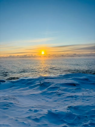 Next week is Lucky Leaf Parties Week