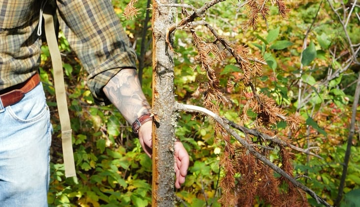 We can reason our way to the Divine