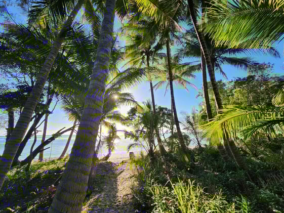 Newsport Alert Thursday 25 September 2025