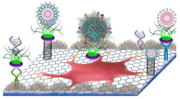 Summer Research Opens up through Coe College REU Program
