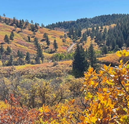 🤠 Rumpus, Bonfires & Boo-tiful Beats 🎃🔥🎶