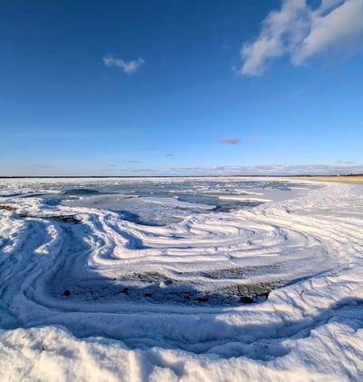 ☀️ Pour Out a Bag of Chips