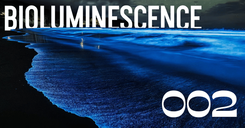 Bioluminescence
