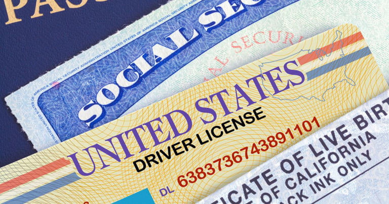 Salty Ginger Talk Newsletter