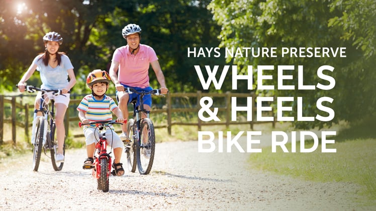 🏠New Dog Park Coming to Huntsville + $100M Courthouse Plan