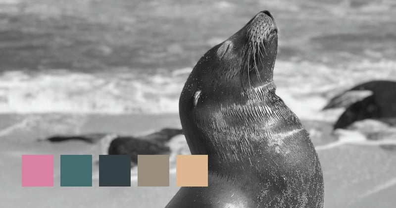 La Jolla, California, USA