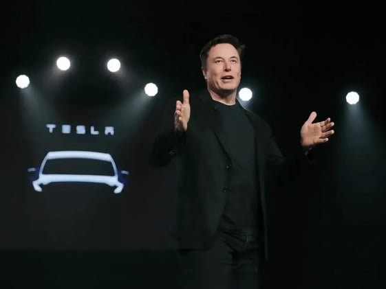 Salty Ginger Talk Newsletter