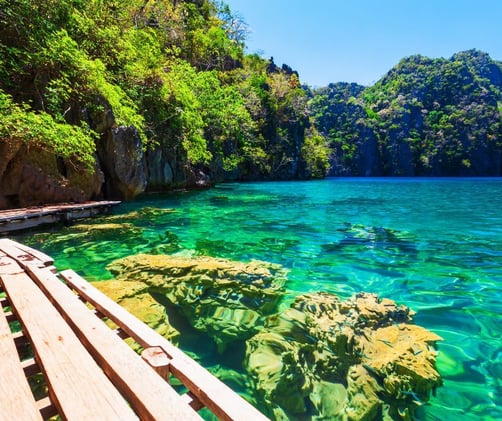 Dive into the Depths – Discover Barracuda Lake in Coron