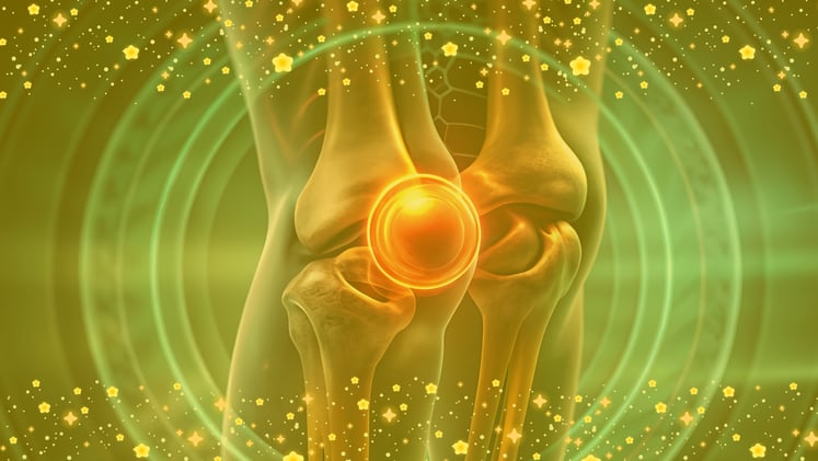 What are You Going To Do About Your Knee Pain in 2026?