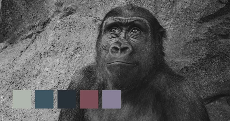 98 Percent Connection