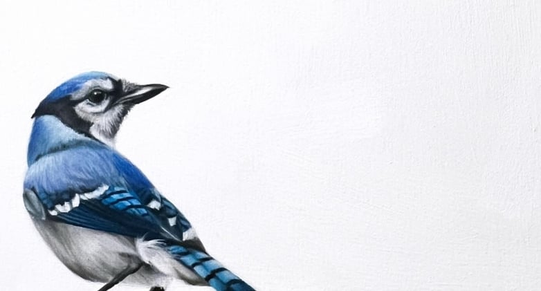 It's Okay Blue Jays!