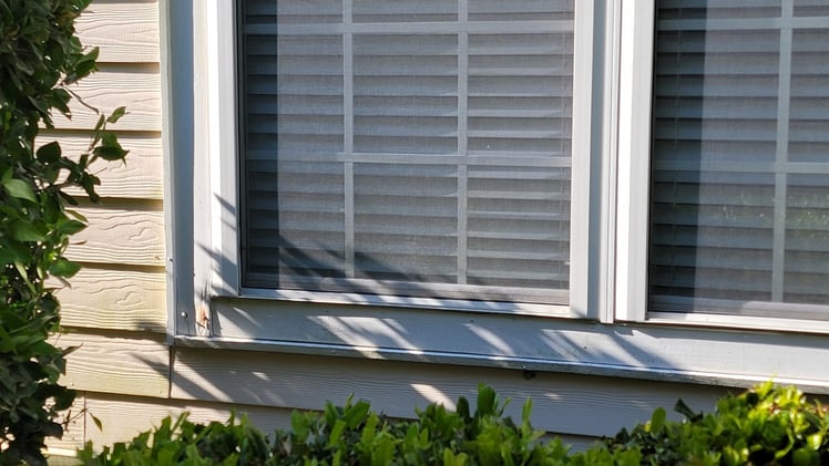 Catch Wood Rot Before It Wrecks Your Trim
