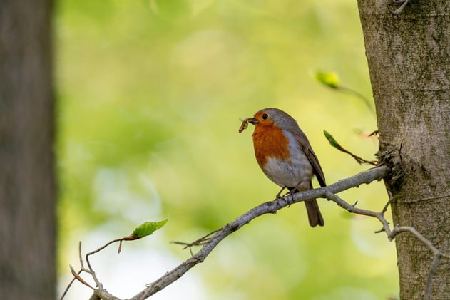 A funded proposal in 8 weeks