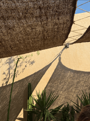 The Disease of Comfort