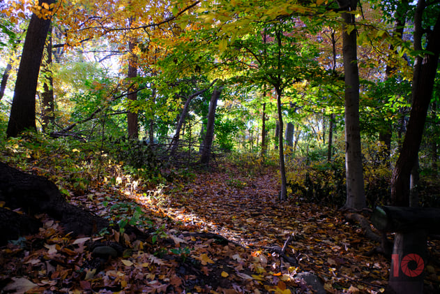 Exploring Miniature Worlds and Ethical Photography