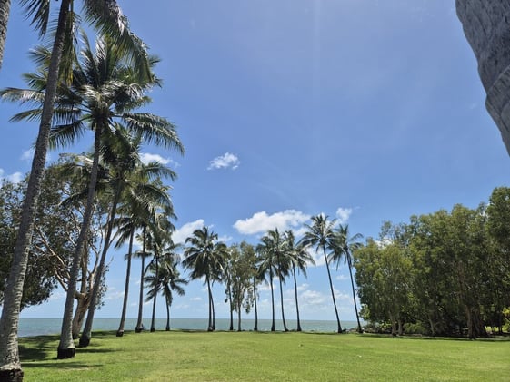 Newsport Alert Friday 06 February 2026