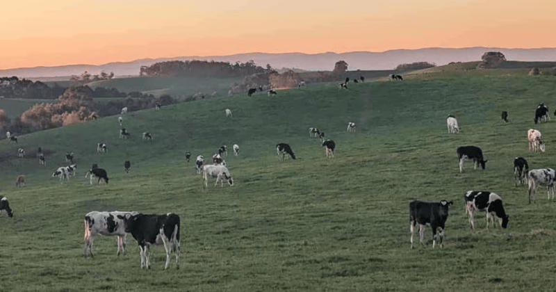Newsletter: What’s the best dinner spot in Leongatha?