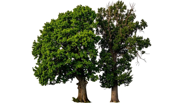 AI Makes Work Easier, and Growth Harder