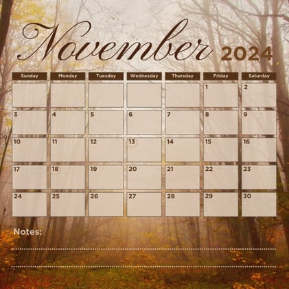 All You Need To Know About November!