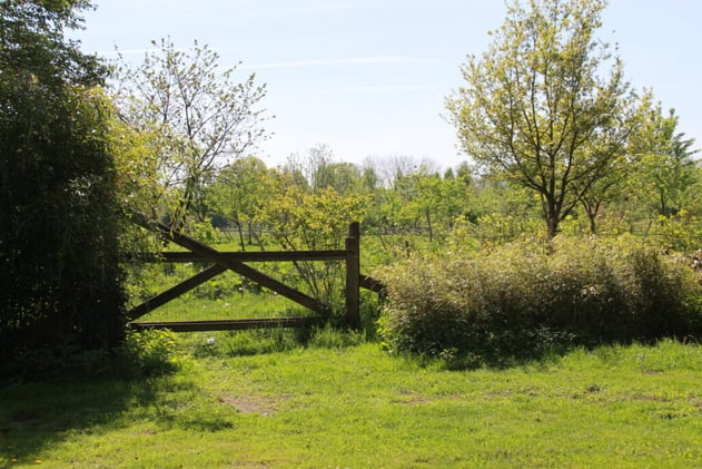 Digital Minimalism | My Creative Journey Toward a Focused Life