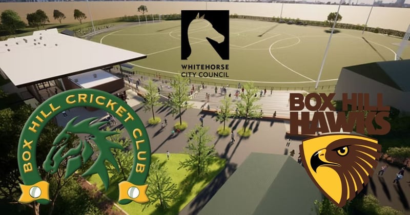 “At the eleventh hour”: Cricket club furious over attempted last-minute Box Hill Oval deal