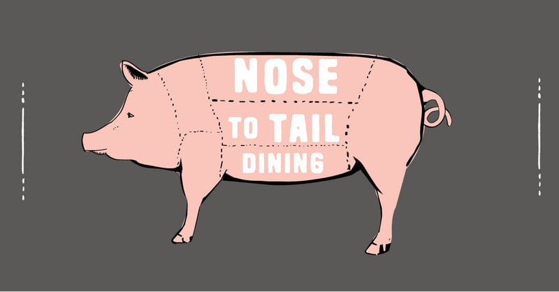 💊 Órganos de animales, la nueva tendencia en la industria alimentaria