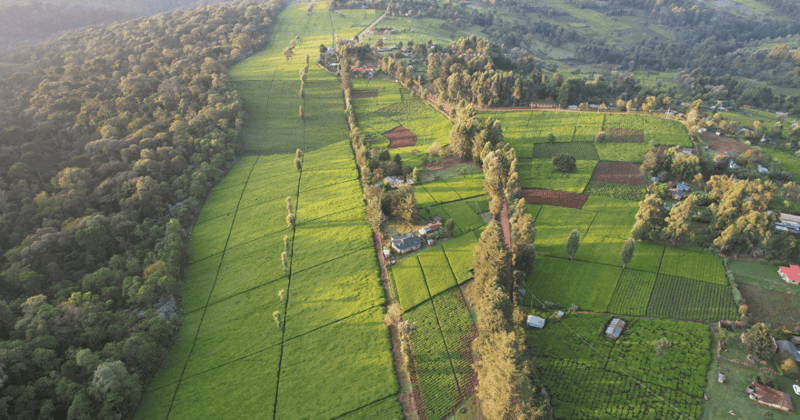 Rwanda scales a pay scheme for the stewards of nature