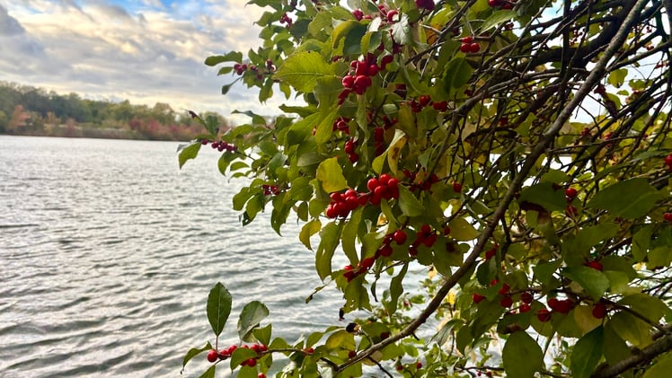 This Morning's Bulletin — 10.21.25