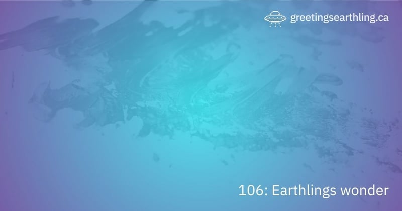 Transmission 106: Earthlings wonder