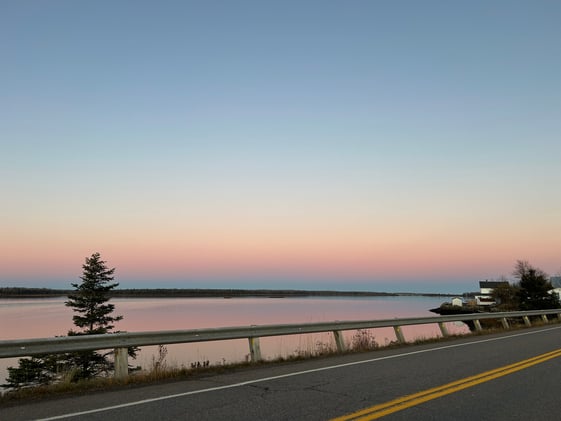 Our Christmas tree is up ... not sure I'm ready for this