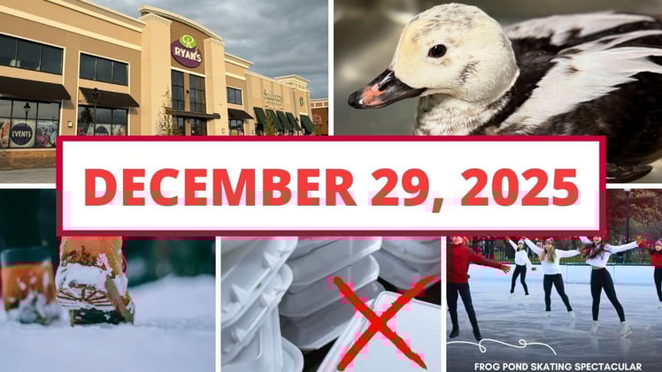 Free winter fun,  a new rule for takeout in Plymouth & more!