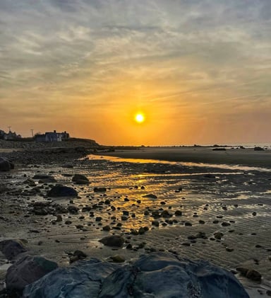 ☀️ Sandwich Professor Advised Moon Mission