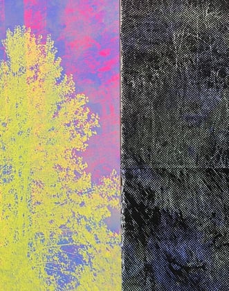 Talking Nature, Music and Magic with Kyle Peets