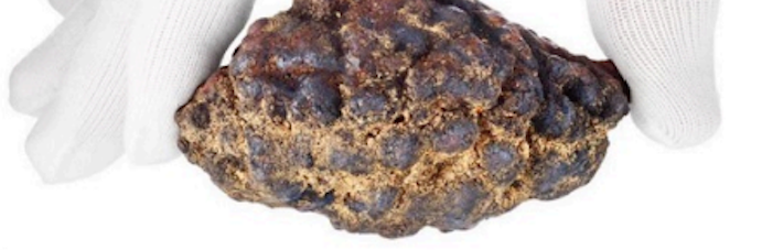 Epistrophy Week Ahead