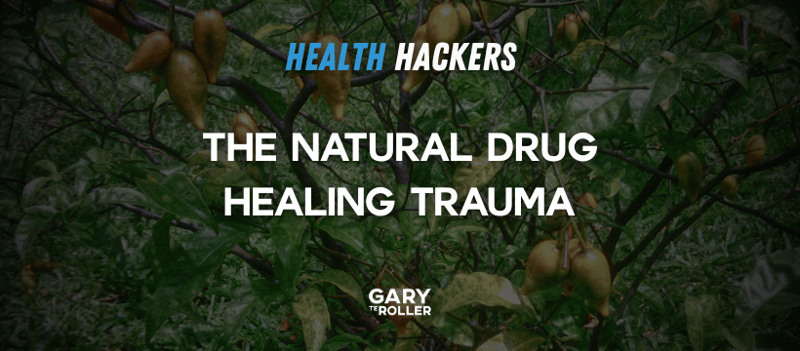 The natural drug healing trauma