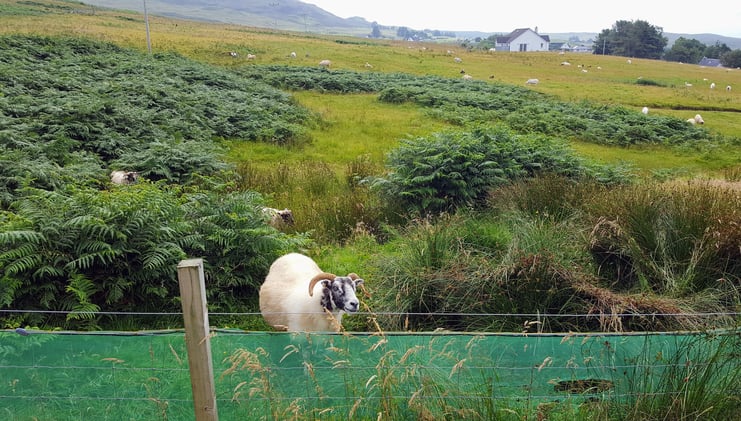 Rethinking our relationship to food