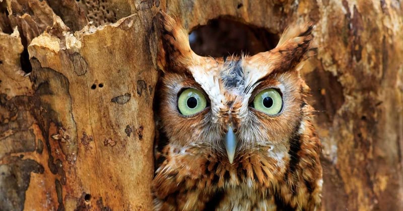 ✍️ Small Tweaks, Big Impact: 2026 Resume Essentials + November Bonus Offer