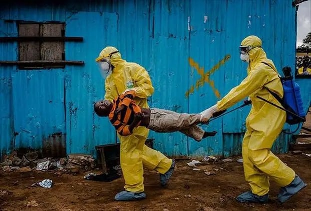 Pulitzer de fotografía, porno virual, libros robados, ilusiones ópticas marcianas y periodismo del futuro