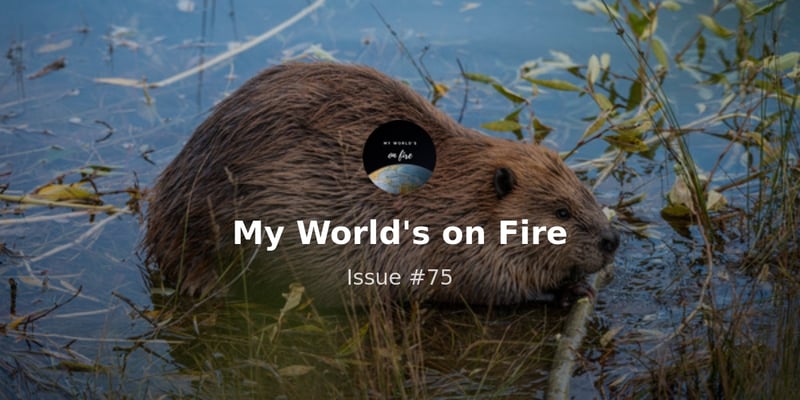 Leave it to beavers