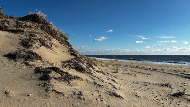 This Morning's Bulletin — 12.1.25