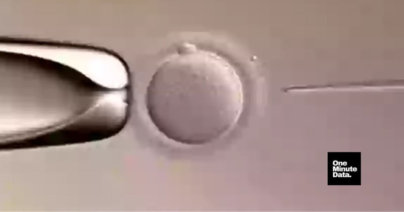 World's First Baby Born With Help From Advanced AI IVF System