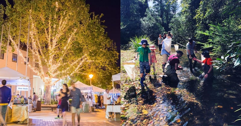 What's on this December