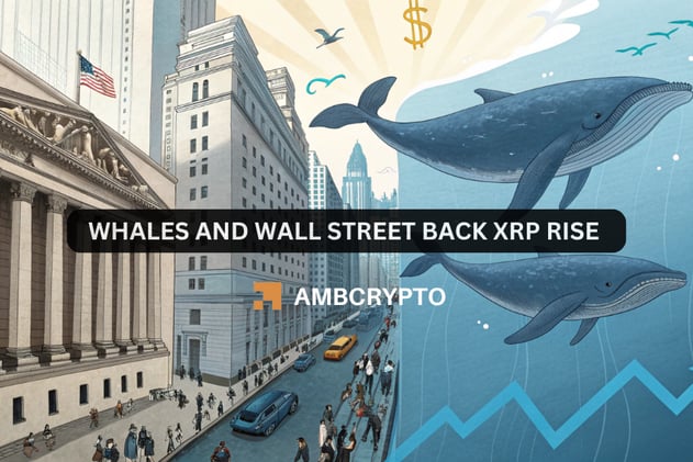 Whales and Wall Street back XRP rise