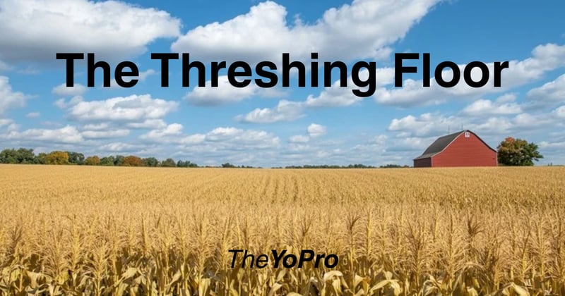 How The Threshing Floor Teaches Prioritization 🌾