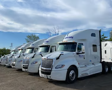 Completed PPSA enforcement means equipment lessor not stayed