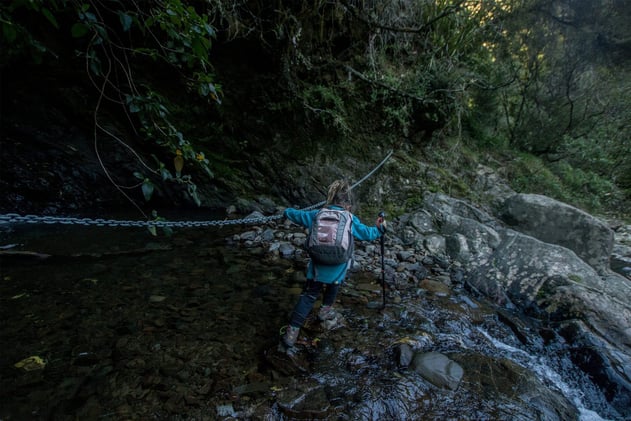50 walks to get tamariki tramping over school holidays